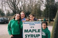 Maple Syrup Trip