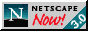 Netscape 3.0 Promotional Logo