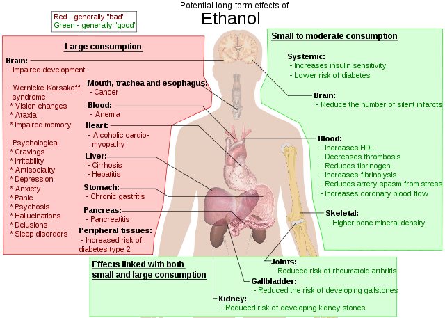 Possible long-term effects of ethanol